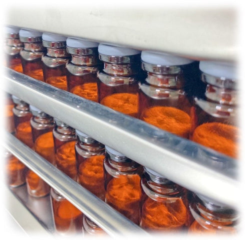 外泌體保養品選「凍晶」才有效?!揭秘高活性保養的秘密